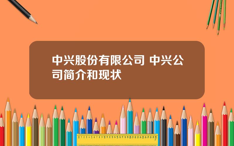 中兴股份有限公司 中兴公司简介和现状